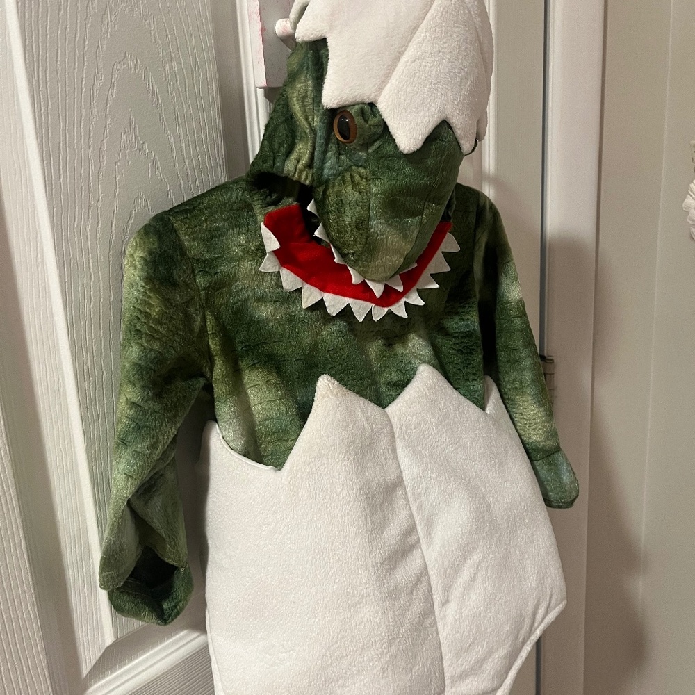 Pottery Barn Kids dinosaur egg costume 6-12m